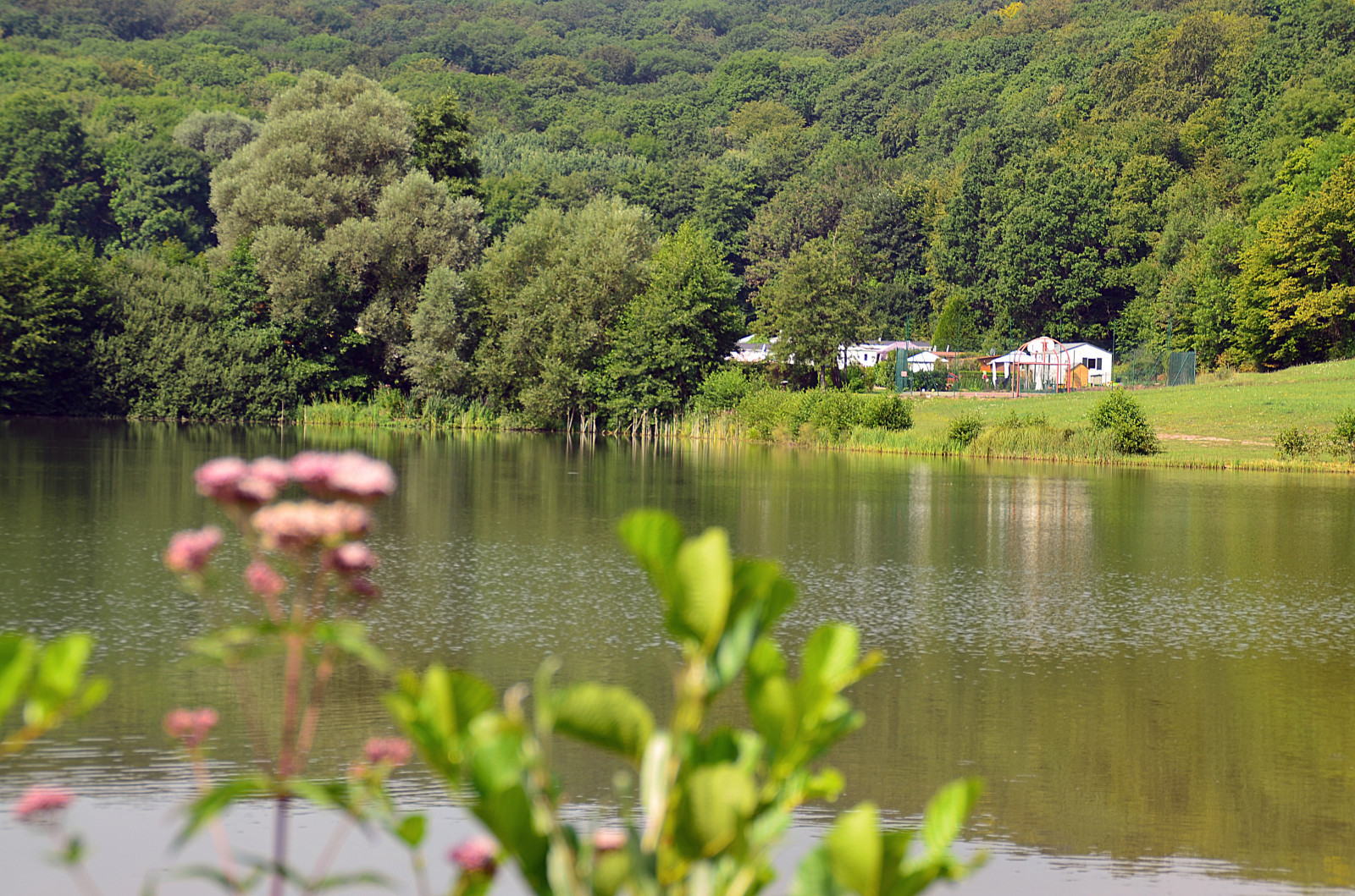 Photo du camping : Posez votre téléphone – Déconnectez-vous dans notre camping nature